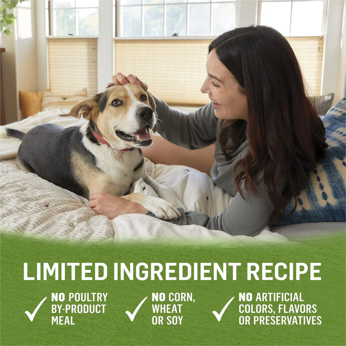 13 oz Cans (12 Pack) Wet Dog Food Chicken Lamb Spinach E56156