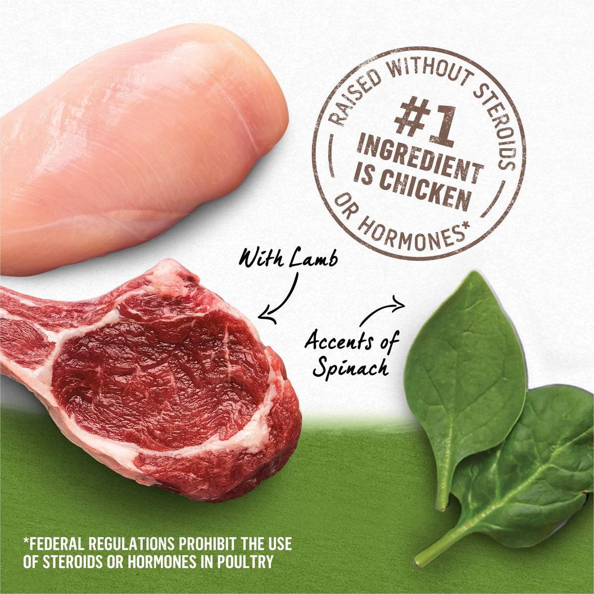 13 oz Cans (12 Pack) Wet Dog Food Chicken Lamb Spinach E56156