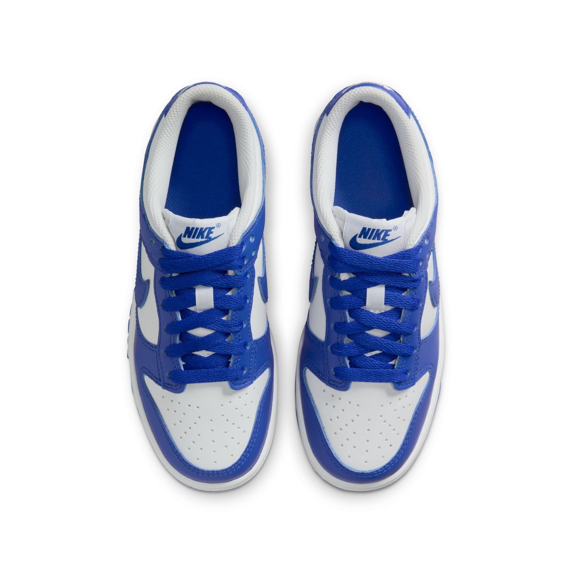Nike Dunk Low (GS) - FB9109-131
