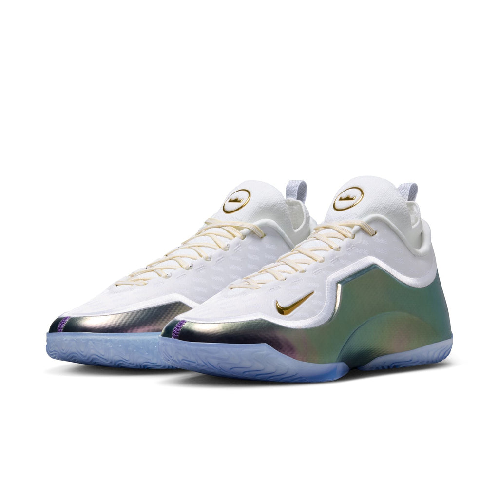Nike Lebron XXIII Elite "For The Record" - IB9557-100