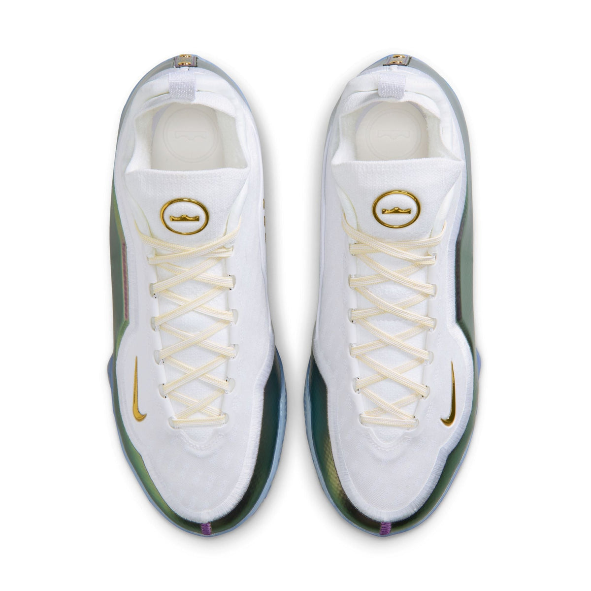 Nike Lebron XXIII Elite "For The Record" - IB9557-100