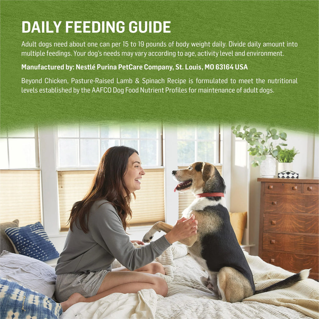13 oz Cans (12 Pack) Wet Dog Food Chicken Lamb Spinach E56156