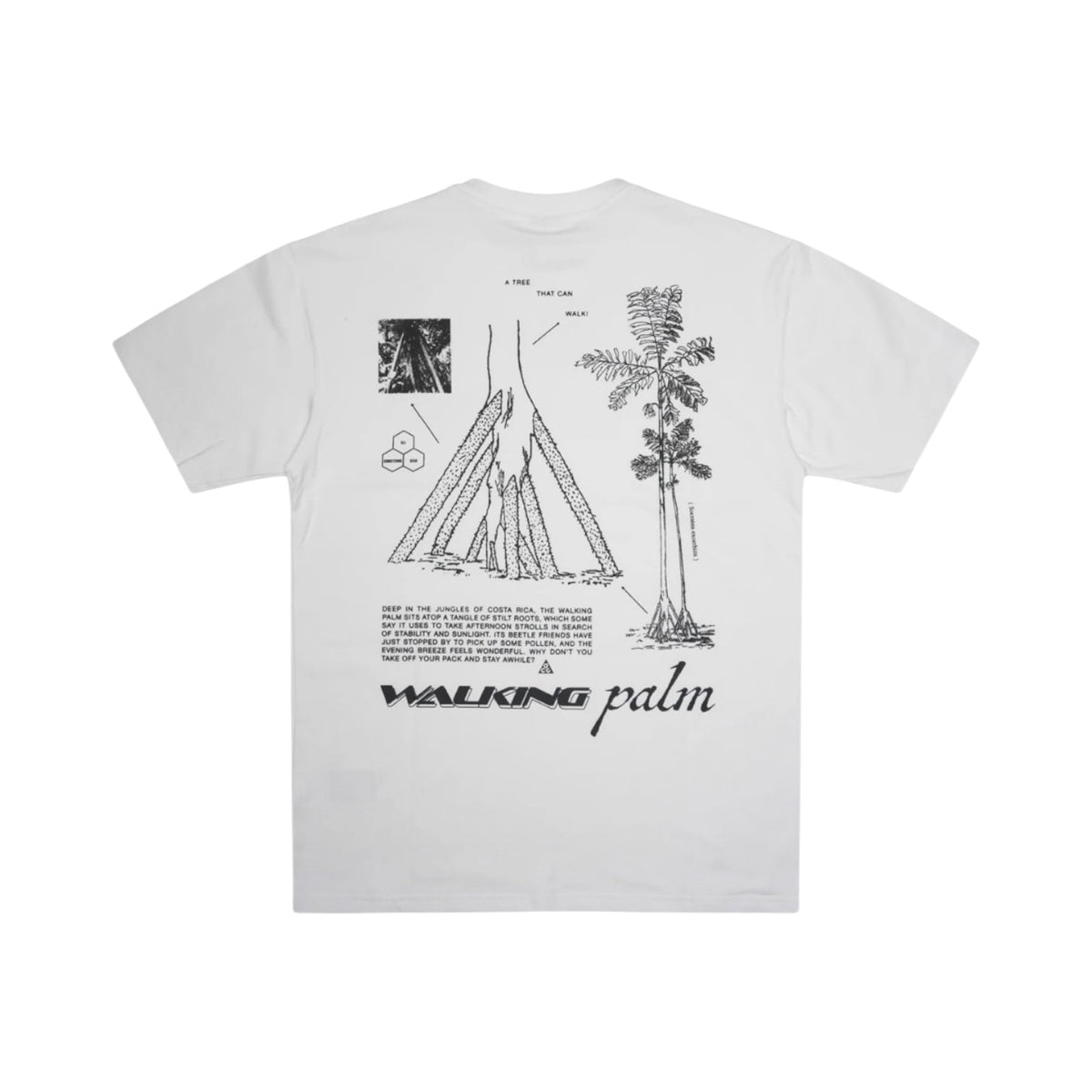 Nike ACG "Walking Tree" S/S Tee (White) - HJ0796-121