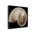 Photographic Print on Wrapped Canvas F59754